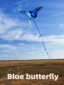 New 2025 Style Butterfly Weifang Kite Long Tail Simulation Easy to Fly for Adults And Children High End Micro Wind Kites