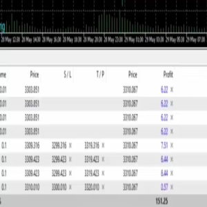 โปรแกรมเทรดอัตโนมัติ EA : MANSAMUSSA 2.0 : MT5