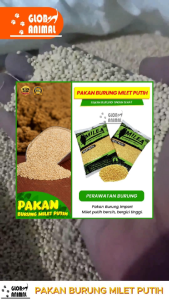 PAKAN BURUNG MILET PUTIH MILEA IMPORT PREMIUM lovebird kenari bebas