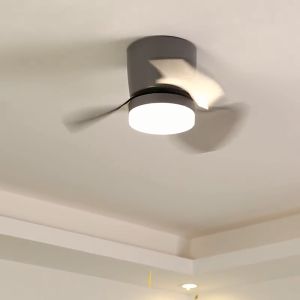 Ceiling Fan With Light Led Light With Fan Celling Fan Lamp For Living Room Light With Fan Wind-Driven Balcony Childrens Bedroom with Frequency Conversion Integrated Mini 风扇灯