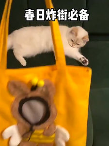 Pet Canvas travel Bag Shoulder outdoor carrier Bag Cats and Dogs Tote Bag Small Pet Carrier Bag Fashionable Breathable