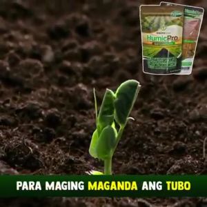 Humic Pro - Organic NPK and Foliar Fertilizer for Plants Vegetables Corn and Rice. Better than Humus - ICE