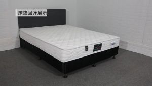 [3S  FURNITURE] Individually Packed Springs High-end Branded 22CM Thickness Ergonomic Lambswool Latex Mattress with Silent Independent Pocket Spring System