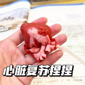 Đồ Chơi Giải Trí Mô Phỏng Tim Nhảy Múa Tặng Bạn Gái Bạn Thân Đồ Chơi Giải Trí Sáng Tạo Cho Trẻ Em Từ 3 Tuổi Trở Lên