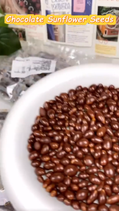 Dark Chocolate Nuts Sunflower Seeds Snack Choco Balls Ready To Eat Snack Food for kids