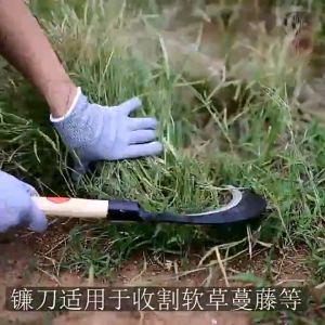 SK5 เคียวเหล็กแมงกานีส อเนกประสงค์ ใช้สำหรับ ตัดไม้, ตัดหญ้า, ตัดแต่งกิ่งไม้, มีดพร้า, เคียว, ใบมีดโค้ง, เคียวญี่ปุ่น, อเนกประสงค์, ใบมีดเหล็กแกนุราคา 5 กิโลบาน