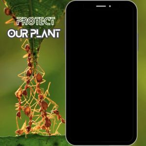 Kawalan Semut ubat semut Ant Repeller 蚂蚁排斥器