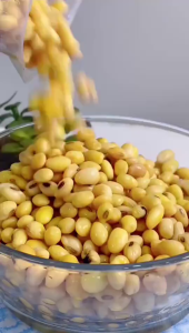 VSSUU เครื่องทำน้ำเต้าหู้ โม่ถั่วเหลืองแยกกาก ถ่ายจากสินค้าจริง เครื่องทำนมถั่วเหลือง เครื่องทำน้ำเต้าหู้แยกกาก เครื่องปั่นน้่ำเต้าหู้