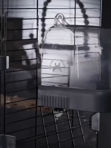 กรงนกแก้ว กรงนกขนาดใหญ่  กรงทรงบ้านเล็ก ขนาด แชสซีที่เพิ่มสูงขึ้นสะดวกสะอาดง่ายขึ้น