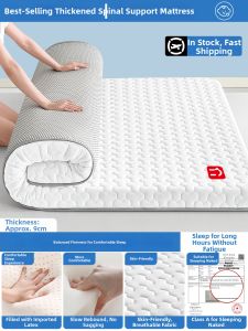 JIFANPAUL | Latex Memory Foam Mattress for Rent and Tatami