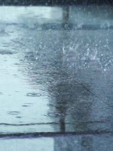 Running Walking Machine Home Gym Walking Pad Treadmill Treadmill For Home Walking Pad Automatic Mute Folding Electric Multifunctional Fitness Equipment Indoor