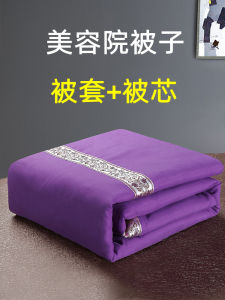 Thickened Beauty Bed Quilt Ear Cleaning Foot Massage Therapy Beauty Salon Special Use Quilt Four Seasons Universal Polyester Fiber