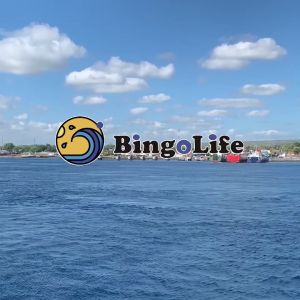 Benang Pancing Kuat Anti Keriting & Fly Fishing 0.05mm