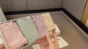 W240 Celana Dalam Anti Bakteri Graphene Wanita Pakaian Dalam CD Seamless Set Kotak 4pcs Celana Dalam Set 4 Pcs