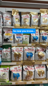 500g 1.5kg Royal Canin Shih Tzu Dog Dry Food All Stages Adult Puppy Dental Health Small Breed Coat