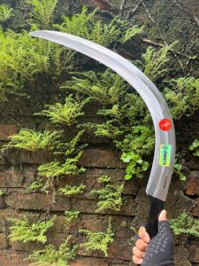 EGREK KINGOYA MALAYSIA PANEN SAWIT SIAP PAKAI BAJA KARBON