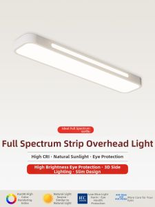 SAINAHEPAN | Eye-Protecting Full Spectrum Corridor Overhead Light