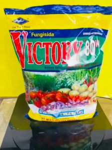 Fungisida pengendali patek VICTORY 80WP kemasan 1kg dari CAP KAPAL TERBANG