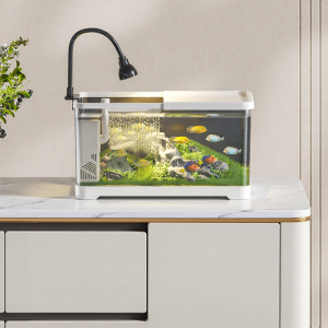 KUOTING | Clear Filter Oxygenating Ecocycle Fish Tank