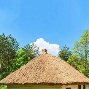 (Customized Size)Simulated Thatched Roof Area Decoration Plastic Artificial Thatch Grass Fireproof Flame-Retardant Outdoor Straw Roof