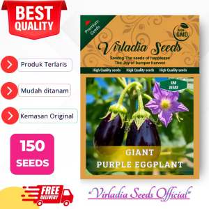 [Virladia Seeds] Biji Benih tanaman terong ungu jumbo