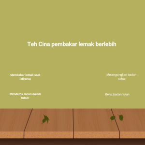 SLIM LEAF teh pelangsing badanmenurunkan berat badan membakar lemak saat tidurobat penahan lemak