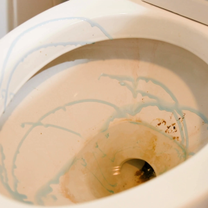 TOILET BOWL CLEANER 1 GALLON