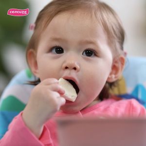 TRÁI CÂY SẤY CHO BÉ ĂN DẶM IVENET HÀN QUỐC (TÁO)