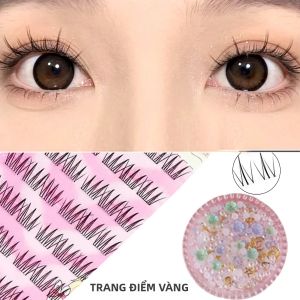 48 Cụm Mi Giả Tự Dính Mi Lẻ Mềm Mại Cụm Mi Tái Sử Dụng Không Cần Keo Nhựa Trong Suốt Tự Nhiên Dài