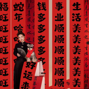 New Year Snake Year Props Hand-Painted Calligraphy Background Decorations Festive Chinese Style Hanging Curtain Banner