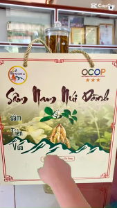 Nụ Hoa Sâm Núi Dành Sâm Việt Nam Sâm Tiến Vua - Sản Phẩm Ocop 4 Sao - NÔNG SẢN SẠCH