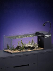 Tailwise | New Desktop Ecosystem Fish Tank Filtering Oxygen Generation All-in-one