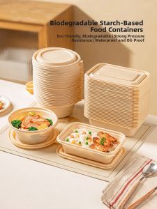 MODERN SWEETHOME | Microwave Safe Lunch Box Portable