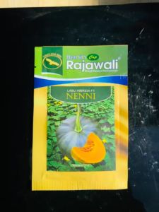 Benih Labu NENNI 10gr CAP RAJAWALI: Panduan Lengkap