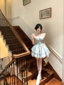 Princess Style Sweet Floral Print Gown with Fleece Sleeves Waist Cinched Womens Dress Embroidered Fabric Casual Summer Dress