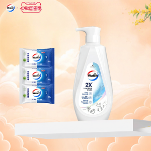 Walch | 2x Clean Antibacterial Underwear Detergent