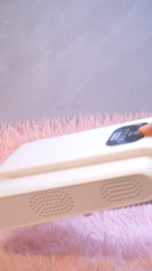Household Folding Shoe Dryer Sterilization Sanitiser Heater Deodorization Portable Shoe Dryer