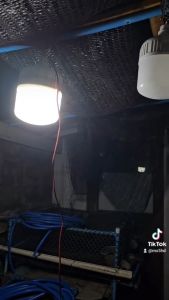 ไฟตุ้ม 45วัตต์ โคมไฟ หลอดไฟปิงปอง 45W (ใช้ไฟ 12 V) แสงขาว คีบแบต