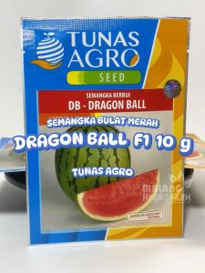 Benih Semangka Bulat Merah Dragon Ball 10 gram Tunas Agro bibit biji buah bulet bundar segar hydroponik hidroponik