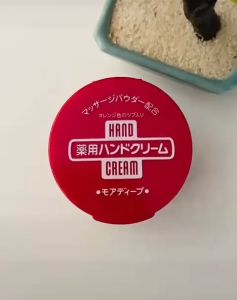 Shiseido Medicated Deep Hand Cream 资生堂尿素护手霜 100g 30g