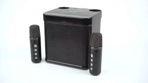 Mini Bluetooth Speaker With Mic Wireless Bluetooth Dual Microphone Karaoke Speaker 3D Stereo Amplifier