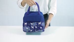 Lunch Bag Insulated Lunch Bag School Lunch Bag Work Lunch Bag Food Insulated Bag Student lunch bag