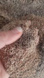 รำละเอียด รำเกรด รำเบียบ รำรอง รำหมู รำเลี้ยง รำคุณภาพ อาหาร รำไม่กำลังเตือน