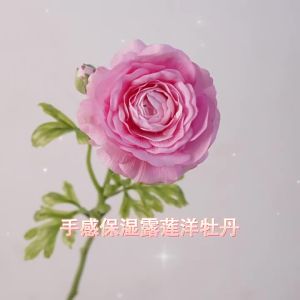 Decorative Peony Flower