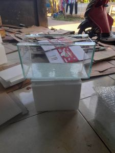 aquarium 25x15x15