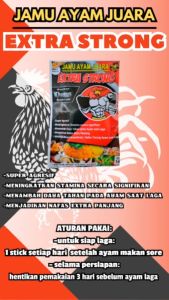 EXTRA STRONG (ALADIN) SASET - menjadikan ayam laga agresif
