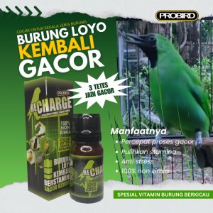 VITAMIN BURUNG PENAMBAH GACOR PLECI KENARI FINCH CIBLEK CENDET