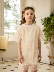 Summer Mesh Pullover Dress for Girls