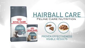 Royal Canin Hairball Care  FREE SHIP Thức ăn hỗ trợ tiêu hóa lông trong dạ dày cho mèo