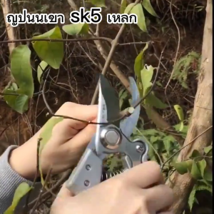Chasy Made in Japan ที่ตัดกิ่งไม้ กรรไกรตัดกิ่งไม้ กรรไกรทำสวนทำจากเหล็ก SK5 ตัดกิ่งไม้ได้อย่างง่ายดาย ตัดกิ่งขนาด 20mm